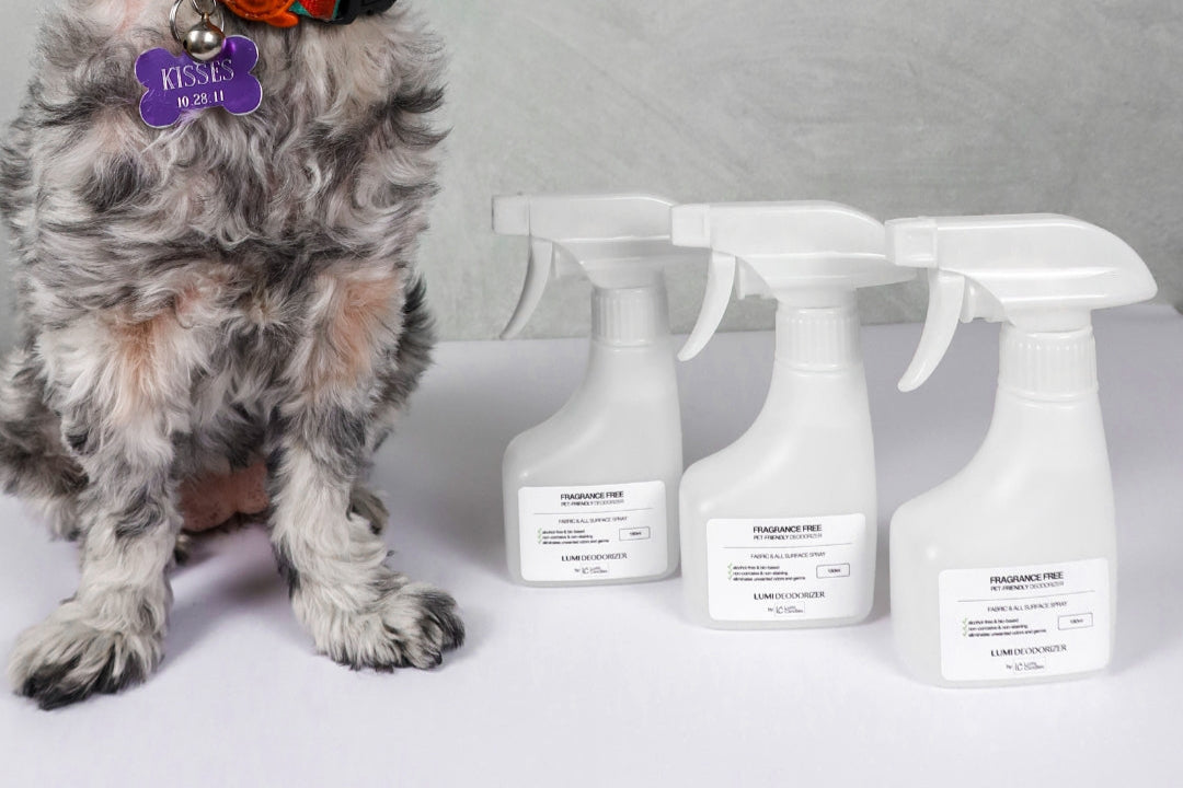 LUMI Deodorizer Spray Collection