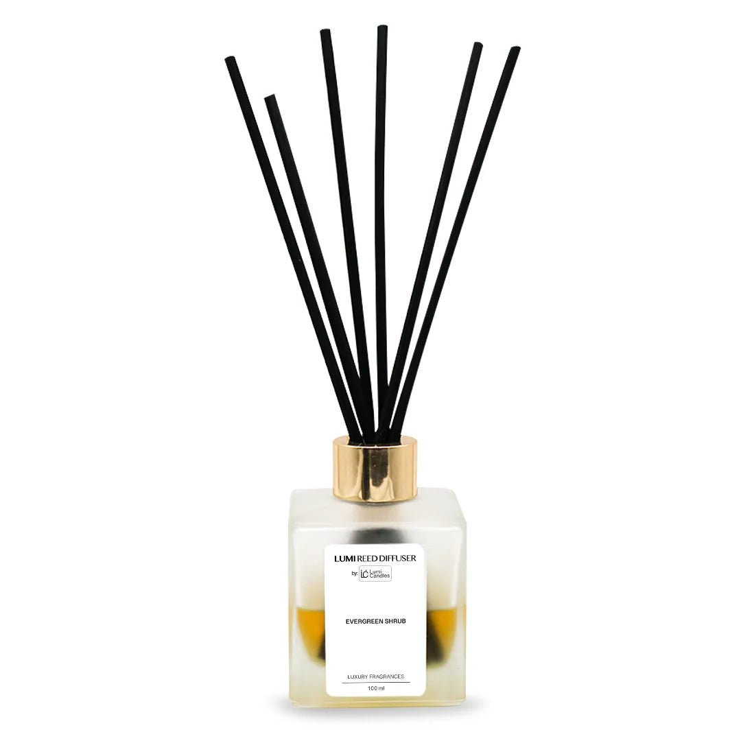 Evergreen Shrub LUMI Reed Diffuser