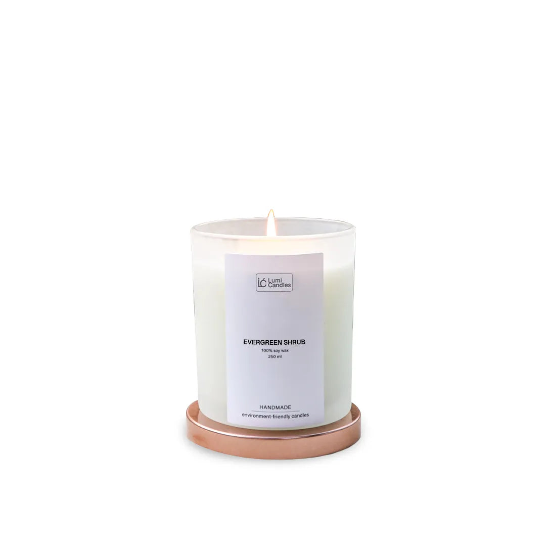 Evergreen Shrub 250ml - Candle Refill