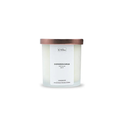 Evergreen Shrub 250ml - Candle Refill