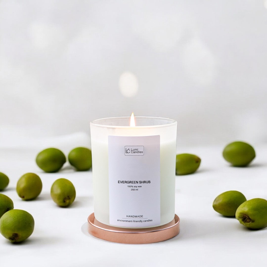 Evergreen Shrub Scented Soy Candle (250 ml)