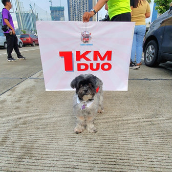 Kisses Dog of Lumi Candles PH