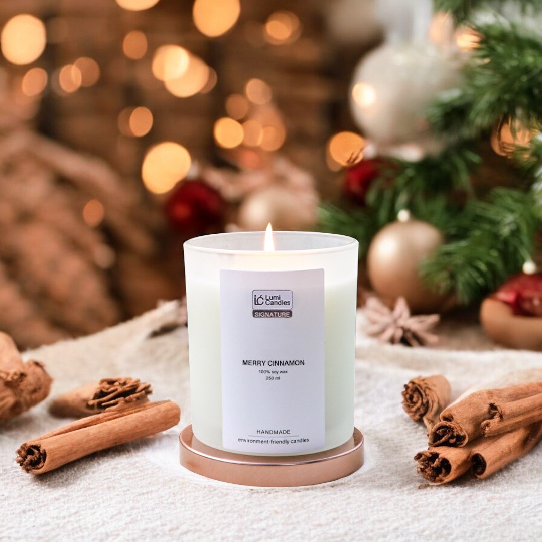 Merry Cinnamon Scented Soy Candle (250ml) - Signature Blend