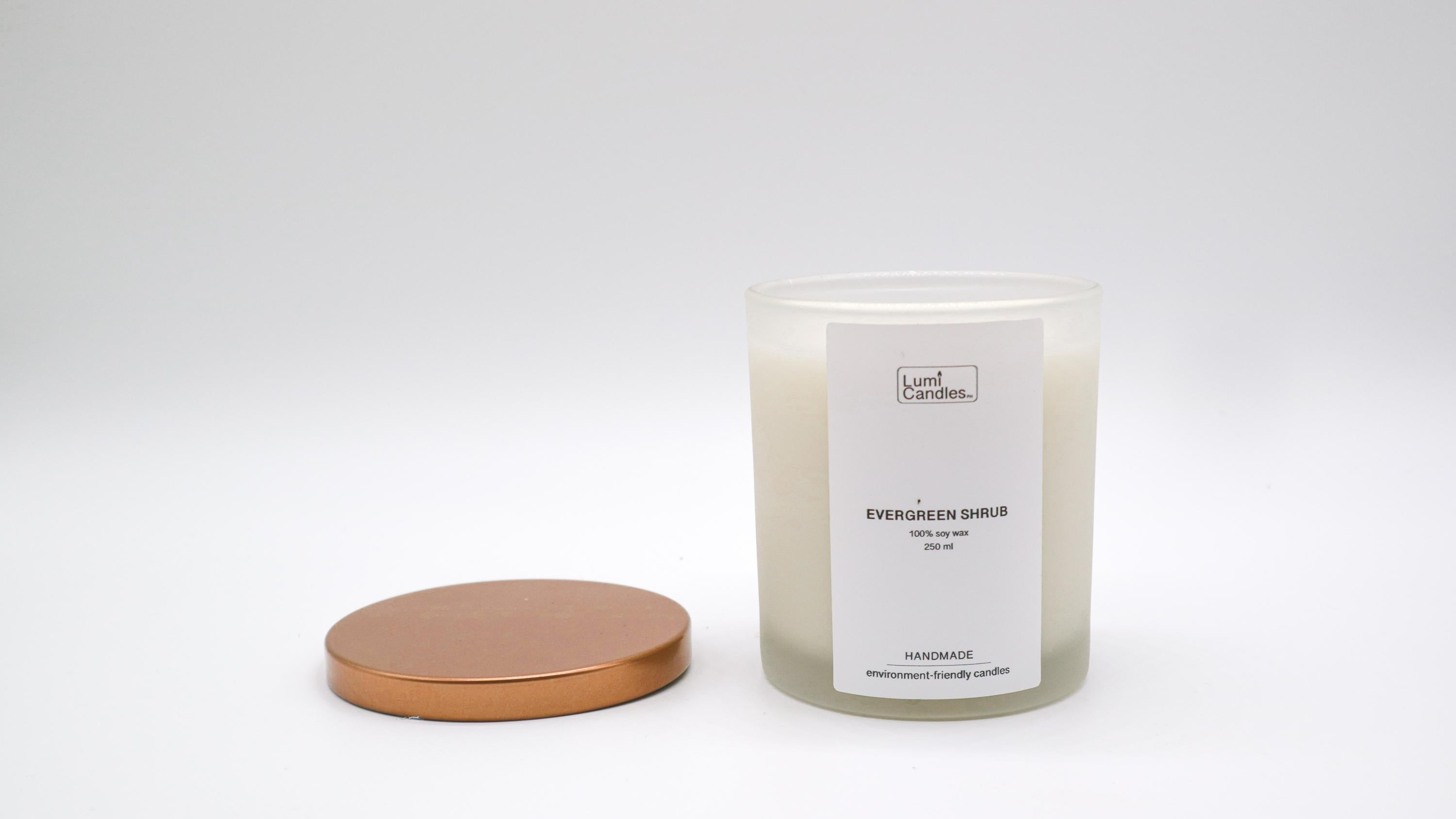 Evergreen Shrub Scented Soy Candle (250 ml) - Lumi Candles PH